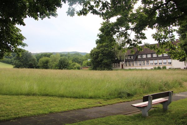 Diese Wiese möchte die Stadt Lage erwerben. Darauf entstehen könnte ein Kleinspielfeld, eine Erweiterung des Feuerwehrgerätehauses und ein neues „Haus des Gastes". - © Karolina Schmidt