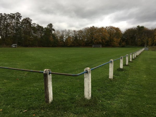 Auf der Westalm könnte eine Pumptrack-Anlage für Mountainbiker entstehen. - © Jana Beckmann
