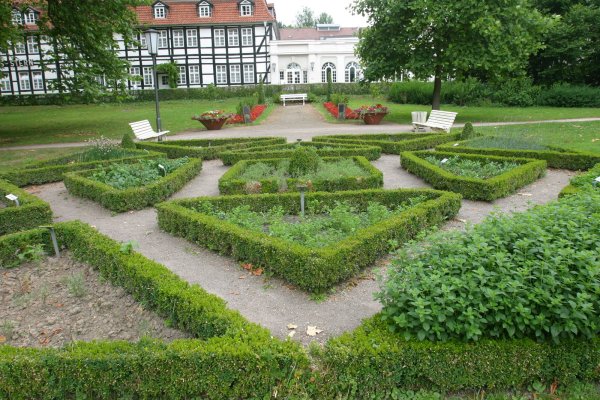 Der Bad Meinberger Kurpark geht vom Landesverband in den Besitz der Stadt über. Die hat damit auch die Pflege der Grünanlagen am Hals. Dafür muss der Maschinenpark des Bauhofs erweitert werden, unter anderem um eine Heckenschneidemaschine. - © Vera Gerstendorf-Welle