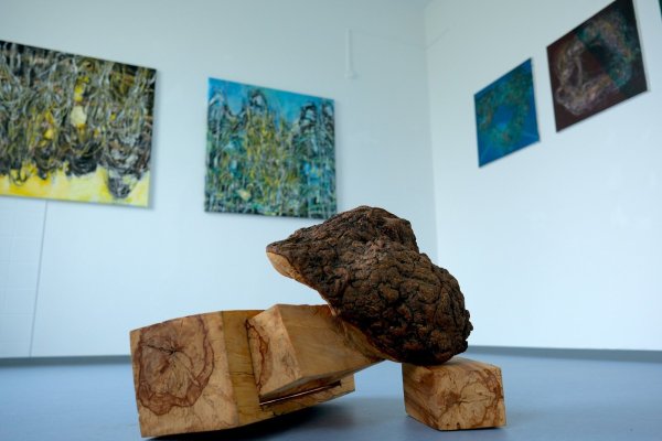 Aktuell zeigen vier Künstler ihre Arbeiten im Gebäude des Kunstpunkt. Weitere Ausstellungen sind geplant. - © Sven Koch