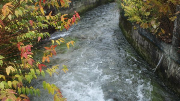 Für die Strothe, den Schlängerbach und die Thune soll bald ein Konzept zum "Wasser-Erleben" erstellt werden. - © Chiara Wibbeke