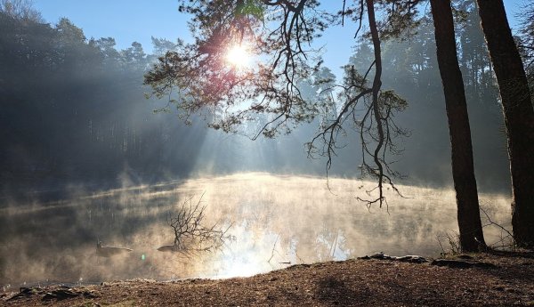 Der Wald im Wintermodus - hier am Donoperteich: Nach dem Geschmack der Förster sollte es weiter klirrend kalt und möglichst trocken bleiben. - © Anne Wolf