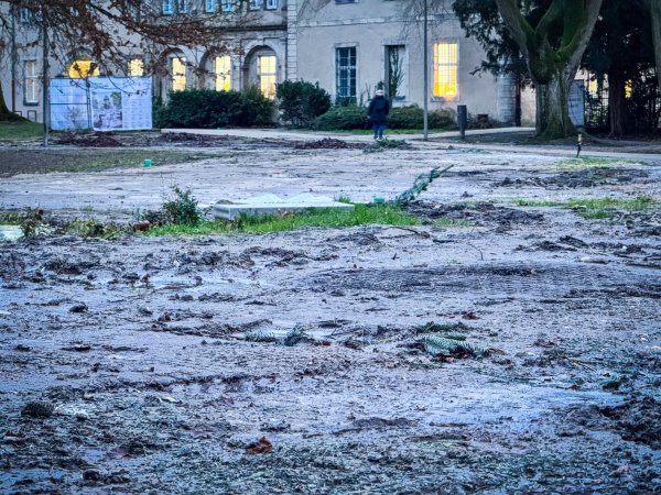 Die Grünflächen im Detmolder Schlosspark sehen nach dem Abbau der Weihnachtsmarkt-Hütten noch ziemlich mitgenommen aus. - © Raphael Bartling