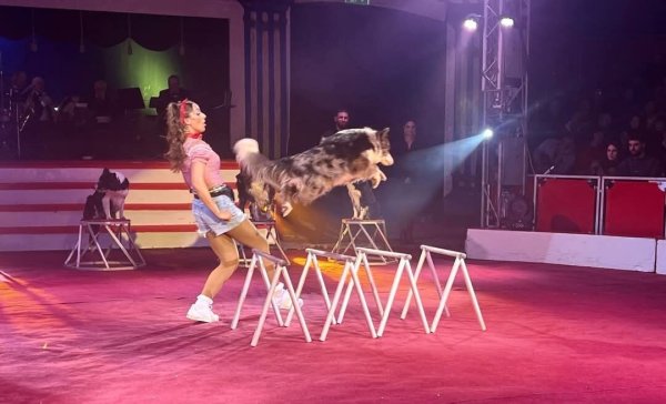 Virginia Lauenburger begeistert das Publikum mit ihren Hunden. - © Circus Barum
