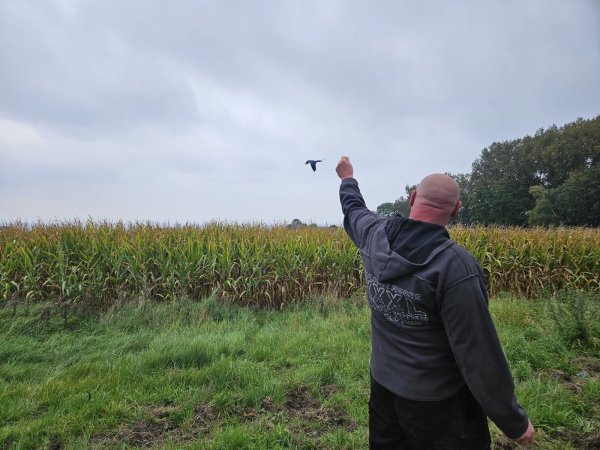 Züchter Frank Indenbirken schaut einem Papagei hinterher. Bisher sind alle seine Vögel von ihren Freiflügen in die Voliere zurückgekehrt. - © Alexandra Stratmeier