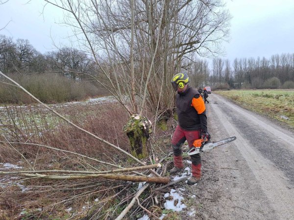 Am Norderteich werden die Kopfweiden geschneitelt. - © Landesverband Lippe
