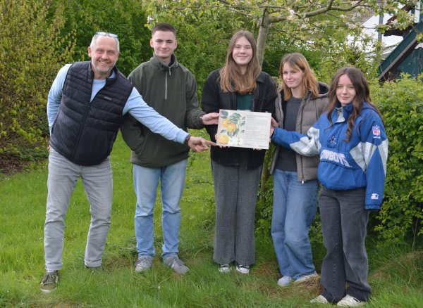 Jahrgangsstufenleiter Michael Heitkämper sowie die Klassensprecher Mathilda Krone, Pauline Thies, Mia Gruber und Finlay Winter (von links) präsentieren die Infotafel zur Goldrenette Freiherr von Berlepsch. - © BUND Lemgo
