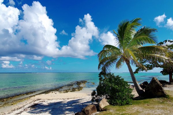 Beim Vortrag des Naturwissenschaftlichen und Historischen Vereins Lage geht es um die pazifische Inselwelt von Tahiti bis Japan. - © Claus Hinrich Graß