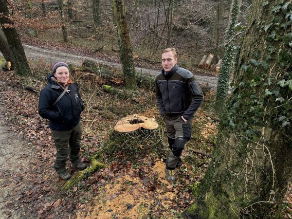 Ilka Beermann und Jan Altemöller stehen an einem Baum, der aufgrund von Fäulnis gefällt werden musste. - © Sven Kienscherf