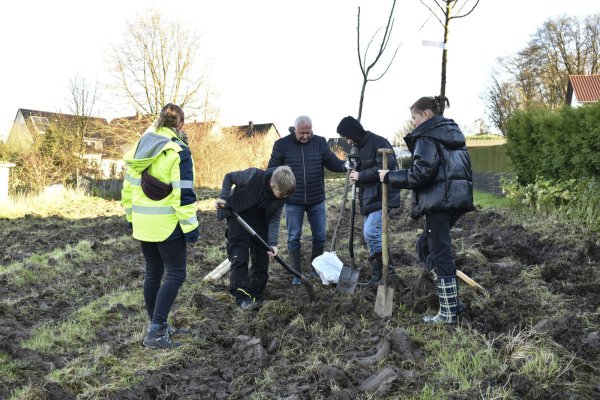 Schülerinnen und Schüler der Realschule Lage unterstützen die Baumpflanzaktion am Schlüterweg. - © Stadt Lage