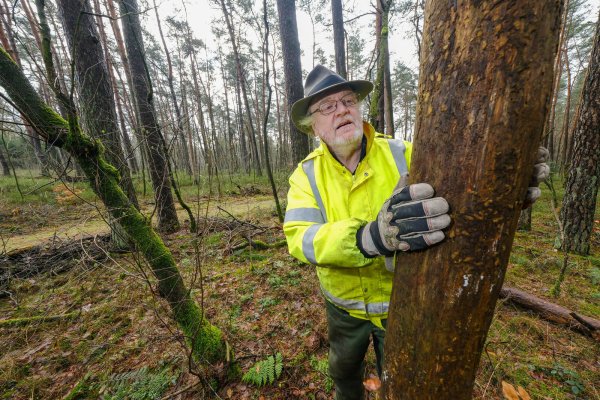 Jörg Vogelsang ist jetzt Millionär. Kein Grund zur Freude für den Bielefelder. - © Andreas Zobe