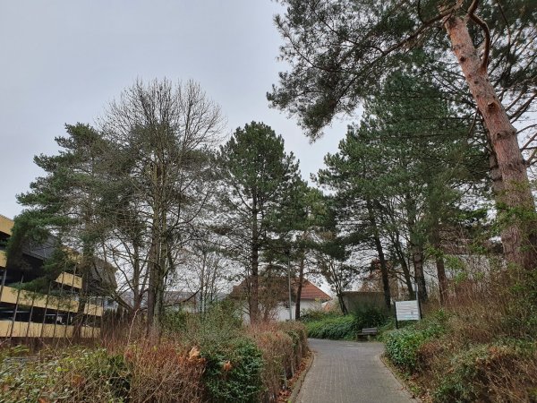 Zwischen dem Parkhaus (links) und dem Eingang zum Klinikum (weiter rechts, nicht im Bild) verläuft nicht nur ein Gehweg, sondern auch eine „grüne Schneise", die die Initiative Baumrettung gerne bewahrt haben möchte. - © Initiative Baumrettung Detmold