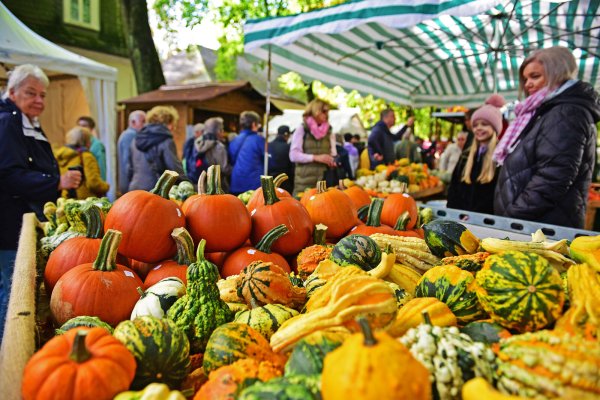 Der Bad Meinberger Bauernmarkt hat 2023 wieder viele Besucher angezogen. Dieses Jahr soll er größer werden - auch um die Verluste des Weinfestes zu kompensieren. - © Nicole Ellerbrake