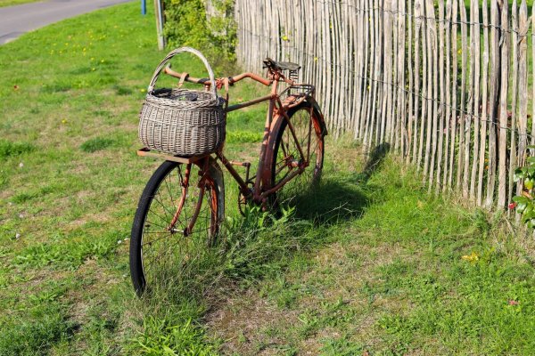 Fahrräder sind ganz besondere Fortbewegungsmittel. - © Symbolbild: Pixabay