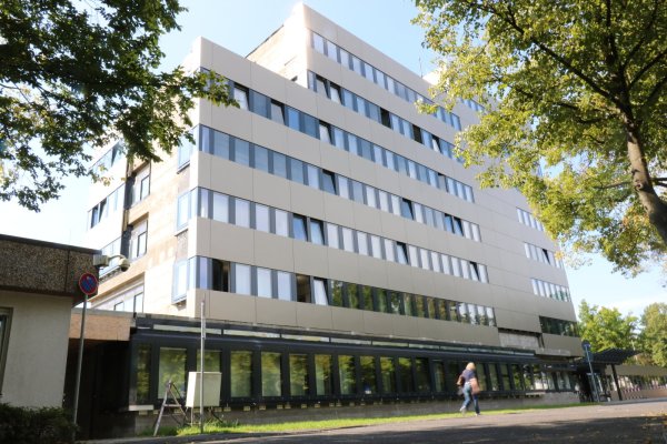Die Sanierung des Rathauses schreitet weiter voran. Die Fassade ist bereits fast vollständig getauscht worden. Doch: Die Maßnahme wird wesentlich teurer als noch vor drei Jahren veranschlagt. - © Alexandra Schaller
