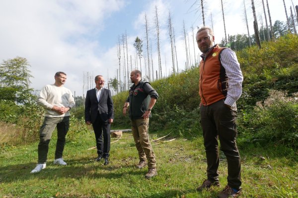 Kämmerer Tim Sölter (von links), Landesverbandsvorsteher Jörg Düning-Gast, Revierförster Jens Tegtmeier und Leiter der Forstabteilung des Landesverbands Jan-Otto Hake. - © Jost Wolf