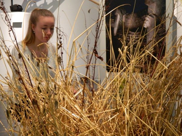 Die Kultivierung von Nutzpflanzen veränderte die Lebensweise der Menschen. - © Lippisches Landesmuseum Detmold