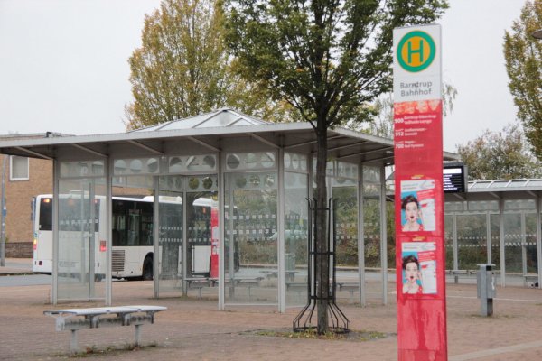Einige der Barntruper Schülerinnen und Schüler bekommen kein 49 Euro-Ticket, empfinden das als ungerecht. Eine Einführung für alle würde auch den ÖPNV stärken, finden die Grünen. - © Archivfoto: Carolin Brokmann-Förster