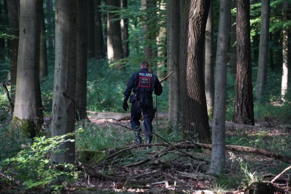 Die Polizei durchkämmte den Wald bei Barntrup und Blomberg vergangene Woche mehrmals. - © Freitag TV