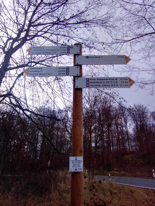 Falsch ausgezeichnet: der Wegweiser am Lüdenhauser Wanderparkplatz Thokenberg weist in die falsche Richtung. - © Sylvia Frevert(LZ)