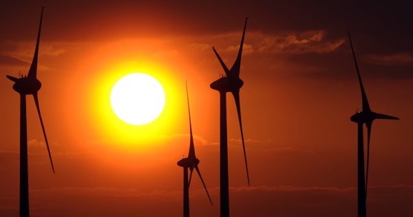 In OWL wird der Ausbau der Windkraft stark vorangetrieben – vor allem in den Kreisen Paderborn und Höxter. - © picture alliance / dpa