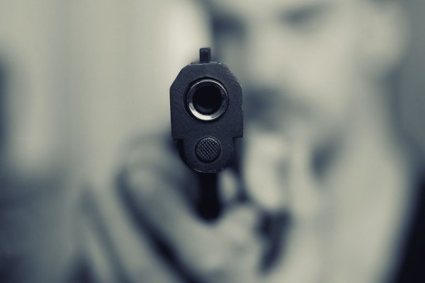 Als Polizisten eine geladene Schusswaffe in einem Detmolder Gebüsch entdeckten, führte die Spur recht schnell zu einem jetzt angeklagten Detmolder. Aber war es wirklich seine Waffe? - © Pixabay