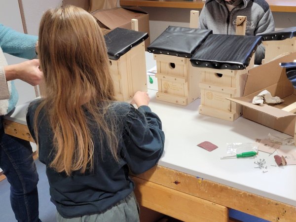 Schüler brauen Nistkästen für Meisen. - © Raffael Giebel