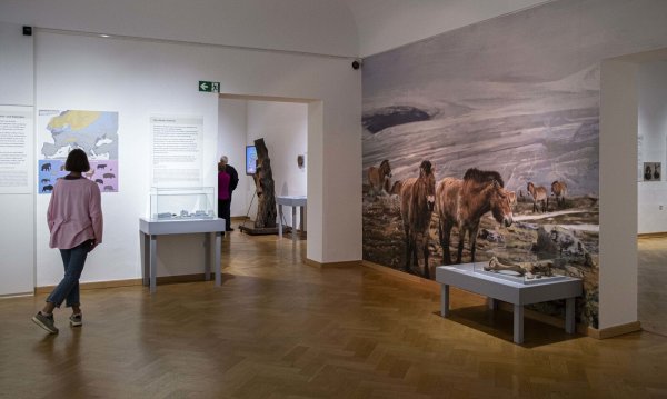 Spannende Zeitreise in die Steinzeit. - © Lippisches Landesmuseum Detmold