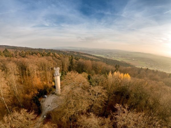 Schon 2018, nach dem ersten der Dürresommer, sieht es rund um den Aussichtsturm in der Lemgoer Mark so aus – ziemlich trocken. Inzwischen ist ein Gros der Fichten tot. Ob ihre Gerippe eine Waldbrand-Gefahr darstellen, möchte nun die CDU wissen. - © Torben Gocke