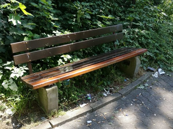 An den Fußwegen rund um das Klinikum liegt allerhand Unrat. Auch die Büsche wachsen wild in den Weg hinein. Für die Anwohner ein Unding. - © Claus-Dieter Meinert