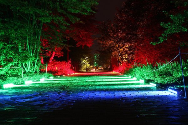 Lichtinstallationen sind andernorts schon in Parks zu sehen. Was im historischen Kurpark von Bad Meinberg verwirklicht wird, ist derzeit noch offen. - © Foto: Pixabay