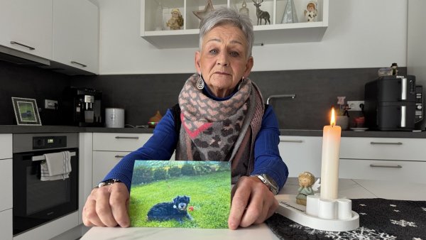 Doris Schönebergs Hund "Boomer" ist bei dem Angriff getötet worden, sie selbst wurde am Ohr verletzt, wie sie berichtet. - © Sven Kienscherf