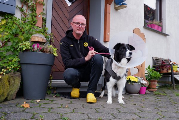 Carsten Kießler mit Border Collie "Abby". Die 14 jährige Hündin musste nach dem Angriff mit mehr als 80 Stichen genäht werden. - © Lorraine Brinkmann