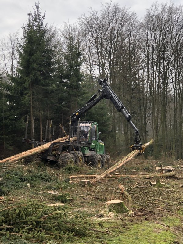 Wenn entlang der Wander- und Forstwege Fichten bedenklich schief stehen, werden sie mit dem Harvester gefällt. - © Till Brand