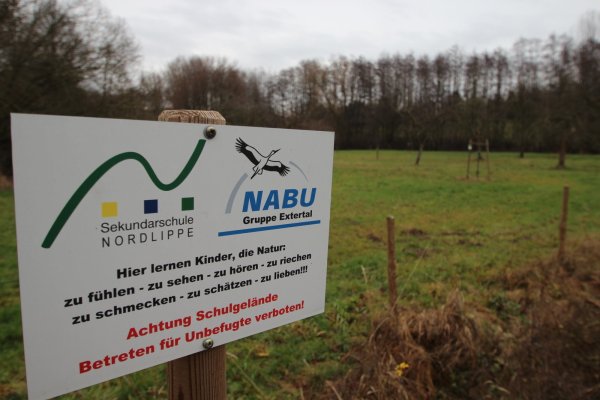 Der Extertaler Nabu will die Streuobstwiese an der Sekundarschule aufwerten. Dafür stehen knapp 15.000 Euro bereit. - © Jens Rademacher