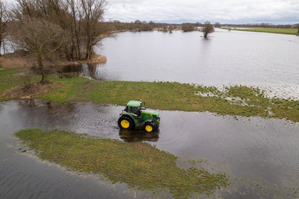 Ein Landwirt aus Brandenburg fährt mit seinem Traktor über seine überfluteten Felder. - © (c) Copyright 2024, dpa (www.dpa.de). Alle Rechte vorbehalten