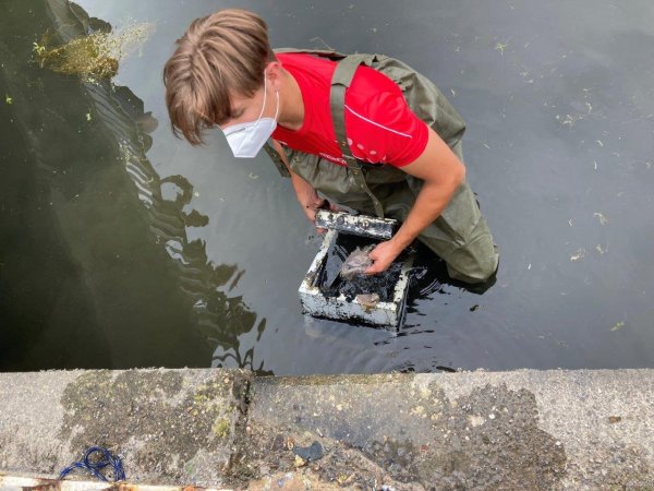 Der Tresor wird aus dem Wasser geholt. - © Feuerwehr