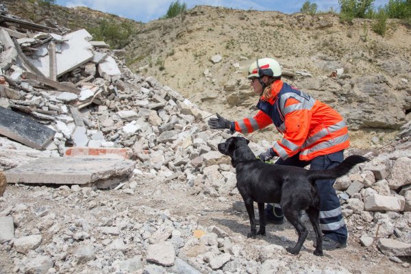 Jutta Sprenger trainiert mit Rettungshund „Bandit" die Trümmersuche. Die Rettungshundestaffel hat in fünf Jahren zahlreiche Einsätze absolviert. - © A.Jaeckle