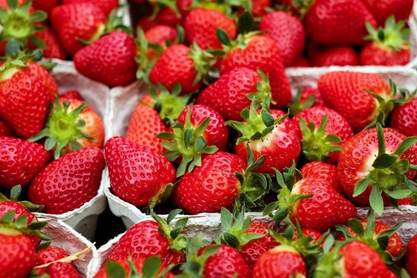 In vielen deutschen Supermärkten und Discountern werden verpackte Erdbeeren aus Andalusien verkauft. - © Pixabay (Symbolfoto)