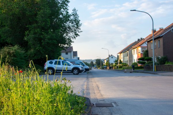 Am Südende der Horner Kampstraße soll das neue Altstadtcenter entstehen. - © Raphael Bartling