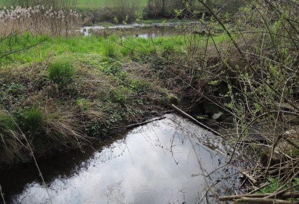 Die Wörbke in Detmold hatte der Kreis Lippe bei der Gewässerschau 2023 unter die Lupe genommen. - © Kreis Lippe