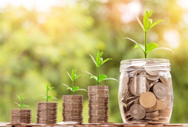 Geld so ausgeben, dass der Einsatz von Investitionen mitelfristig Früchte trägt: Das ist das Ziel des Haushaltes 2024. - © Symbolfoto: Pixabay