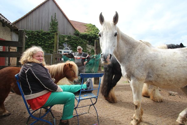 Sylvia Frevert ist wegen des gebrochenen Fußgelenks bei der Versorgung der Tiere auf ihrem Ponyhof auf Hilfe angewiesen. Mit im Bild sind Heulieferant John Bannasch vom Hof Pethig sowie Pony "Charlie" und der neugierig guckende Schimmel "Jack". - © Jens Rademacher