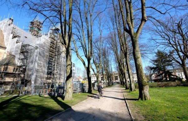 Der Kaiser-Wilhelm-Platz soll umgestaltet werden. - © Kirsten Fuhrmann