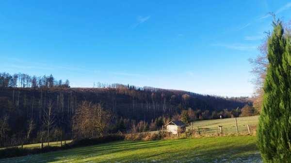 Das Foto zeigt den Blick auf den Buchenberg vom Naturfreundehaus in der Schnat aus, über Wiesen und einen Schuppen und das Silberbachtal hinweg. - © Naturparkfreunde