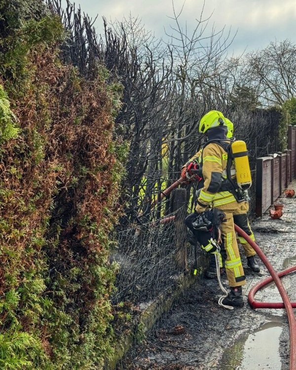Die Einsatzkräfte konnten die brennenden Pflanzen schnell ablöschen. - © Feuerwehr Detmold