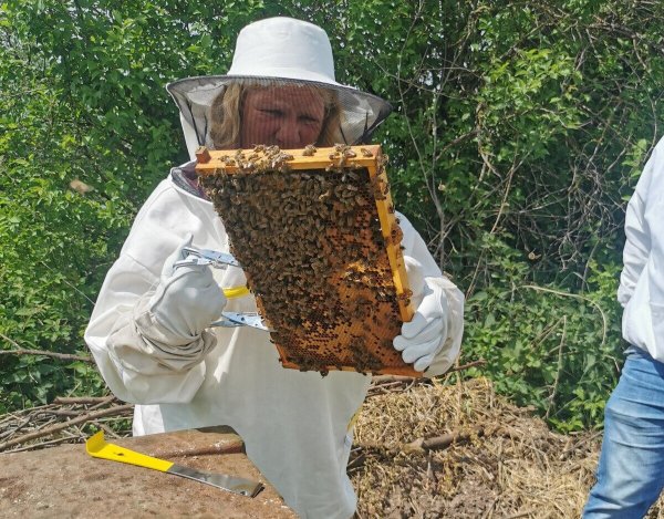 Zum ersten Mal in Kontakt mit Tausenden Bienen: LZ-Mitarbeiterin Sylvia Frevert bei der Kontrolle ihres Bienenhauses. - © Fotorechte: Sylvia Frevert