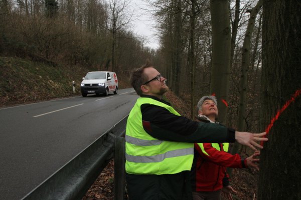Förster Thomas Fritzemeier und die stellvertretende Leiterin der Landesverbands-Forstabteilung, Susanne Hoffmann, an einem zu fällenden Baum. - © Martin Hostert