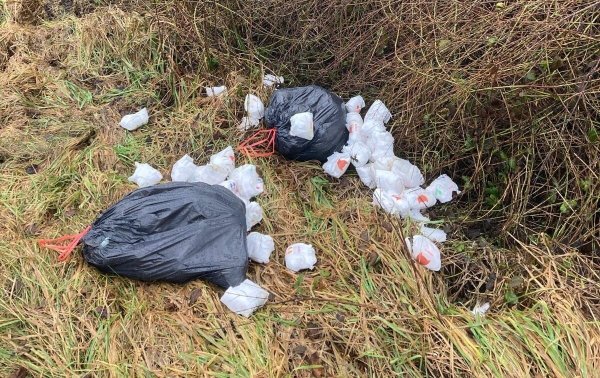 Wild entsorgte Windeln im Straßengraben in Kalldorf sind ein Ärgernis, nicht nur für die Anwohner. - © Fotorechte: LZ