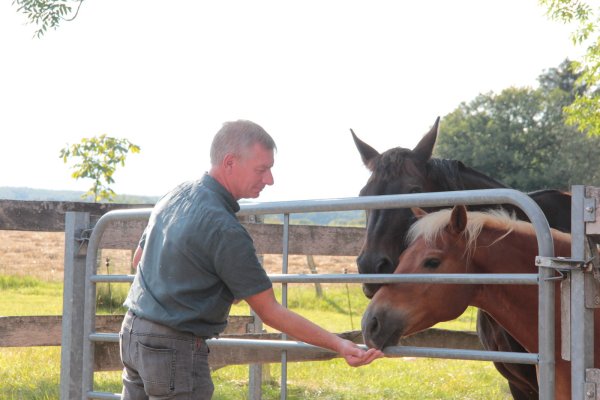 Frank Meier füttert Pferd „Rumpelstilzchen" und Pony „Jake". Auf dem Hof seiner Eltern ist der Extertaler aufgewachsen, hier hat seine Firma heute ihren Sitz.  - © Carolin Brokmann-Förster